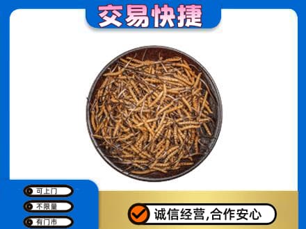 日照回收散虫草